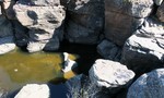 photo thumbnail #3
