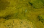 photo thumbnail #13