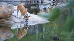 photo thumbnail #9