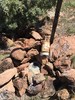 photo thumbnail #7