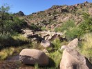 photo thumbnail #2