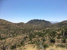 photo thumbnail #14