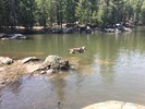 photo thumbnail #5