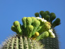 photo thumbnail #9