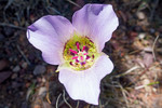 photo thumbnail #4