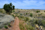 photo thumbnail #8