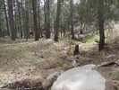 photo thumbnail #1