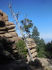 photo thumbnail #10