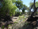 photo thumbnail #9