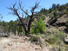 photo thumbnail #13