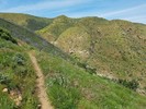 photo thumbnail #11
