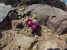 photo thumbnail #14