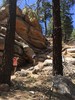photo thumbnail #1