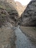 photo thumbnail #15