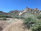 photo thumbnail #1