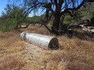 photo thumbnail #6
