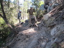 photo thumbnail #5