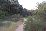 photo thumbnail #10