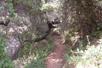 photo thumbnail #3