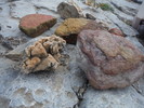 photo thumbnail #13