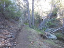 photo thumbnail #2