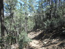 photo thumbnail #8