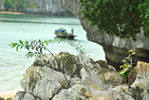photo thumbnail #15