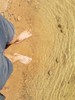 photo thumbnail #13
