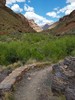 photo thumbnail #15
