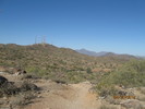 photo thumbnail #3