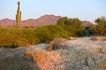 photo thumbnail #2
