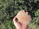 photo thumbnail #1