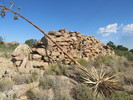 photo thumbnail #2