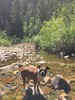 photo thumbnail #4