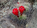 photo thumbnail #11