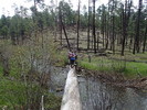 photo thumbnail #13