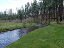 photo thumbnail #15