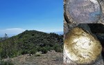 photo thumbnail #10