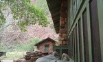 photo thumbnail #4