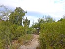 photo thumbnail #1