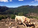 photo thumbnail #1