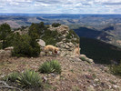 photo thumbnail #4