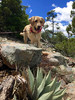 photo thumbnail #5