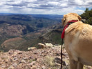 photo thumbnail #6