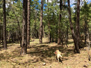 photo thumbnail #7