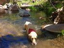 photo thumbnail #12