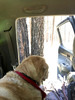 photo thumbnail #14