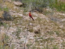 photo thumbnail #6