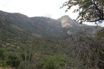photo thumbnail #5