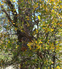 photo thumbnail #11
